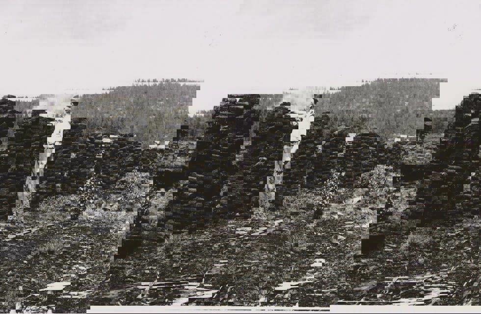 Tjønnås Torvstrøfabrikk